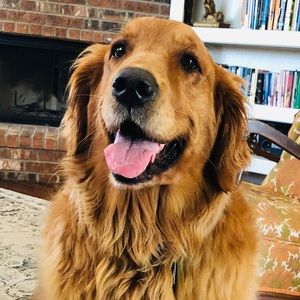 Meet your Posher, Rylee